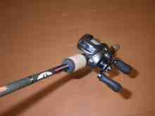 フェンウィック