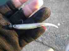 �ޥ��顼�ߥΡ�