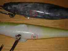 �ޥ��ɥ�ե�