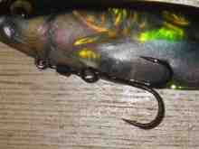 �ޥ��ɥ�ե�