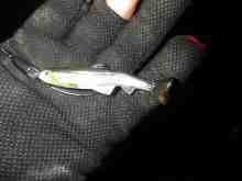 ハドルスイマー3”