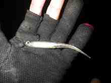 マイラーミノー3.5”