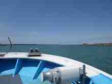 α˨��������