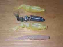 補修したワームたち