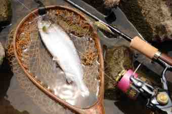 ¤Þ¤º¤Þ¤º¤µ¤¤¤º