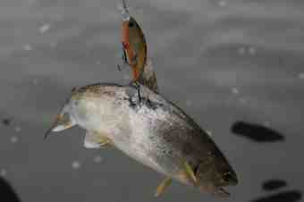 ¥¹¥ì¤Ç¤¹¤±¤É