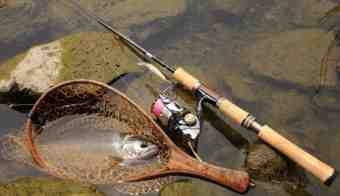 £í£á£ô£ó£õ¥ß¥Î¡¼¤ÇËÜή¥¢¥Þ¥´£³£¶£ã£í