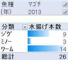 マゴチ2013分類