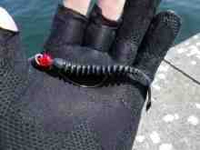 パルスワームブラック