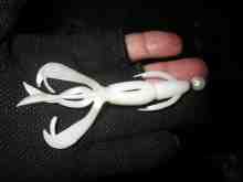 クレイジーフラッパー