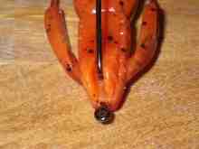 ¥¯¥ì¥¤¥¸¡¼¥Õ¥é¥Ã¥Ñ¡¼