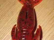 ¥¯¥ì¥¤¥¸¡¼¥Õ¥é¥Ã¥Ñ¡¼