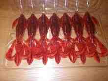 ¥¯¥ì¥¤¥¸¡¼¥Õ¥é¥Ã¥Ñ¡¼