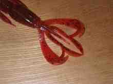 ¥¯¥ì¥¤¥¸¡¼¥Õ¥é¥Ã¥Ñ¡¼