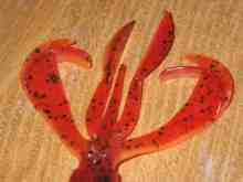 ¥¯¥ì¥¤¥¸¡¼¥Õ¥é¥Ã¥Ñ¡¼