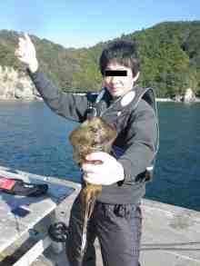 M氏のアオリイカ