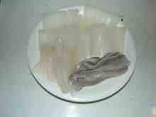 アオリイカのお造り