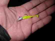 シュラッグミノー