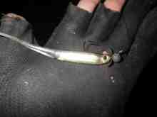 マイラーミノー