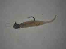 トライロバイト