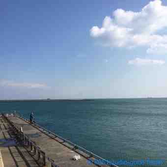 20150315 blogup view2