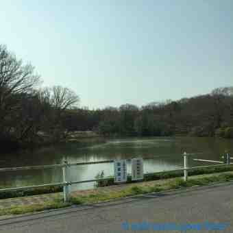 20150322 1