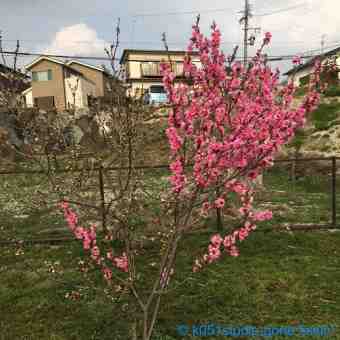 20150322 2