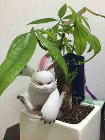 20150408 blogup?