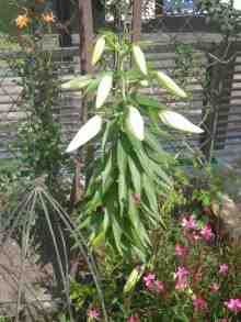 �����֥��