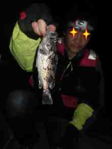 M��Ĺ�ȥ�������