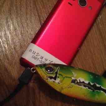 image%3A4321