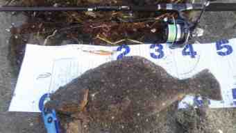 DSC_681002 (Small)