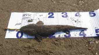 DSC_0707 (Small)