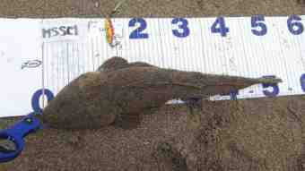 DSC_0721 (Small)