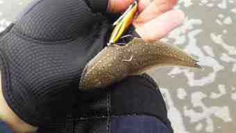 DSC_0724 (Small)