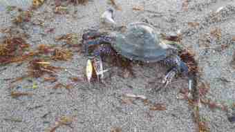 DSC_0791 (Small)