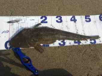 DSC_0928 (Small)