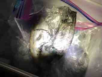 {99D33919-7C6B-4032-83A0-134A6704C991}