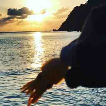 {2C2EDB3A-A2D3-4948-93D7-DE109DB70D47}