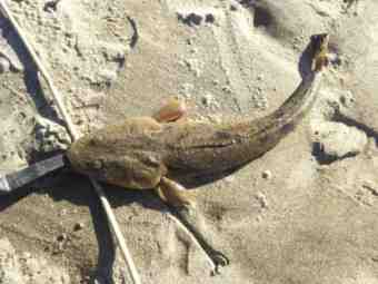 DSC_1005 (Small)