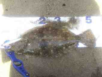 DSC_1124 (Small)