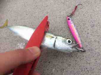 FullSizeRender
