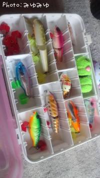 釣りｶﾞｰﾙのﾀｯｸﾙﾎﾞｯｸｽ釣りの日記