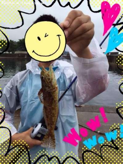 アナハゼ