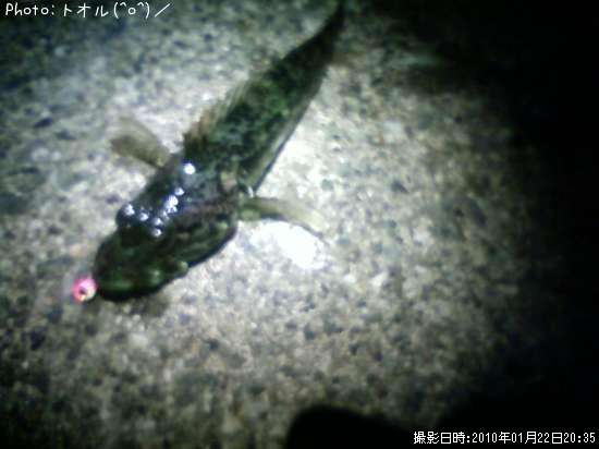 アナハゼ