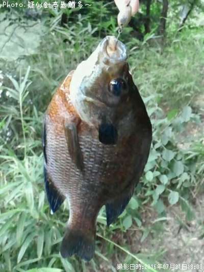 デカギル