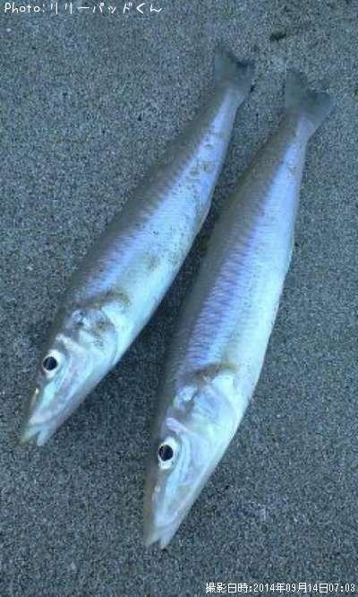 砂浜でのトキメキ最高潮〜♪