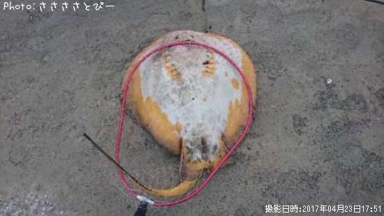 エイリアン