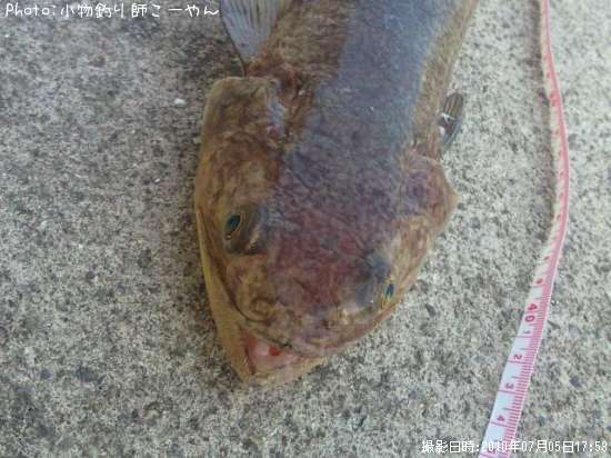 エソ