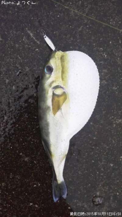 ふぐ